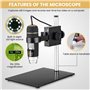 200 X Microscope Endoscope numérique USB 2 Mpx 8 LED Zoom/XP/Vista/7/8 & Mac