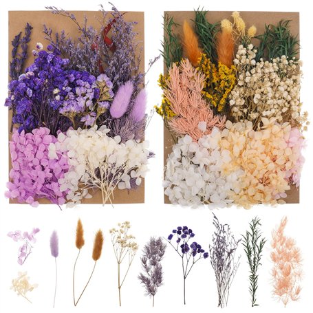 Bohoman Fleurs séchées naturelles 2 sacs à fleurs séchées pressées fleurs séchées vraies fleurs séchées pour résine feuilles flo