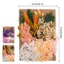 Bohoman Fleurs séchées naturelles 2 sacs à fleurs séchées pressées fleurs séchées vraies fleurs séchées pour résine feuilles flo