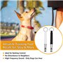 NEWHE Lot de 2 sifflets à ultrasons pour chien - Haute fréquence - Silencieux - Rappel - Sifflet durable pour un entraînement ef