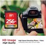 GIGASTONE Carte Mémoire SDXC 256 Go, Vitesse 80 Mo/s. Compatible avec Caméra Canon Nikon Sony Panasonic, V30 U3 UHS-I Classe 10