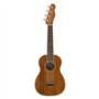 Fender Zuma Ukulélé Concert