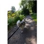 Longe de traction pour chien - INTENSIA - 1.9 m - Double poignée