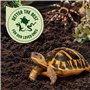 COMPO Zoo Substrat pour Tortues et Terrariums - 10 L