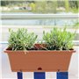 Pot CAMELIA W, dimensions (mm) 595x170x143, couleur Terracota