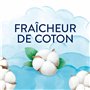 Fraîcheur de Coton