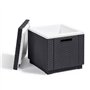 Keter Glaciere Ice Cube Graphite 405981