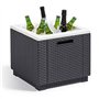 Keter Glaciere Ice Cube Graphite 405981