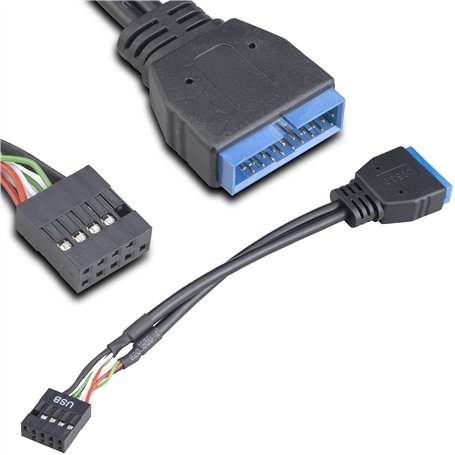 Akasa - Cable Adaptateur USB 3.0 vers USB 2.0 Interne - 10 cm - AK-CBUB19-10BK - Noir