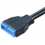 Akasa - Cable Adaptateur USB 3.0 vers USB 2.0 Interne - 10 cm - AK-CBUB19-10BK - Noir
