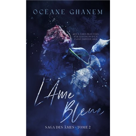 L'Âme bleue - Saga des Âmes Tome 2