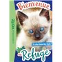 Bienvenue au refuge 09 - Le plus beau des chats !