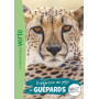 Wild Immersion 22 - Expédition au pays des guépards