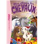 Mes amis les chevaux 47 - Joyeuses fêtes !