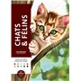 Coloriages mystères - Chats et félins