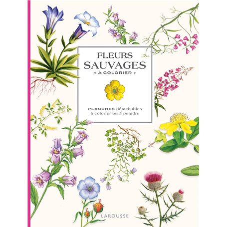 Fleurs sauvages à colorier 15,61 €