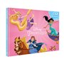 DISNEY PRINCESSES - Coffret - Les 12 livres de tes héroïnes