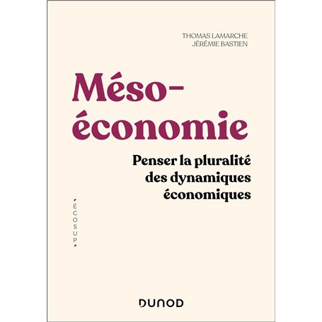 Mésoéconomie