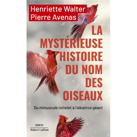 La mystérieuse histoire du nom des oiseaux