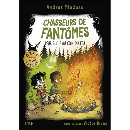 Chasseurs de fantômes - Tome 08 Peur bleue au coin du feu