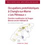 Recherches Archéologiques - N° 27 Occupations protohistoriques à Changis-sur-Marne " Les Pétreaux "