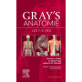 Gray's Anatomie - Les fiches