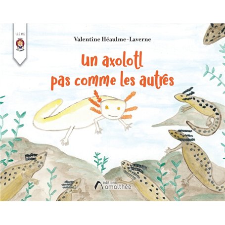 Un axolotl pas comme les autres