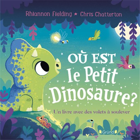 Où est le petit dinosaure ? Un livre avec des volets à soulever