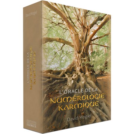 L'Oracle de la numérologie karmique