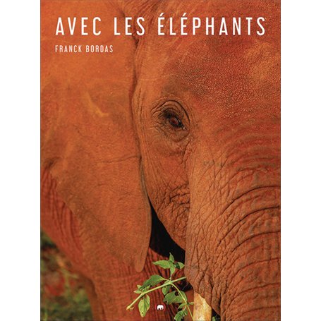 Avec les éléphants