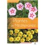 Plantes de Méditerranée 47,95 €