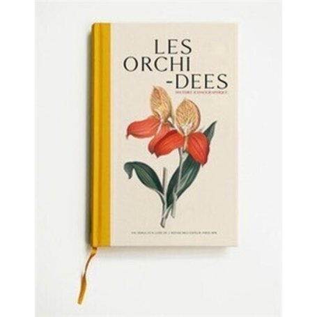 Les orchidées