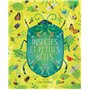 Insectes et petites bêtes