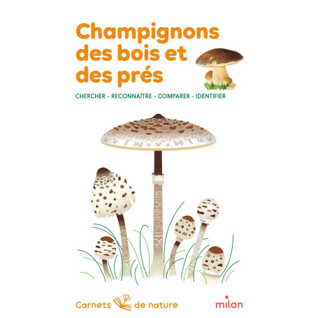 Champignons des bois et des prés