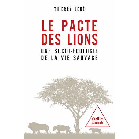 Le pacte des lions