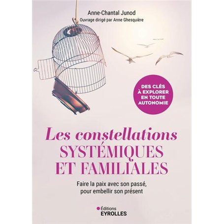 Les constellations systémiques et familiales 17,51 €