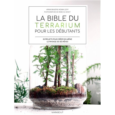 La bible des terrarium pour les débutants