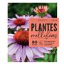 Plantes mellifères