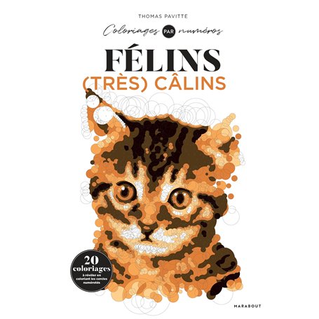 Colo by number - félins très calins
