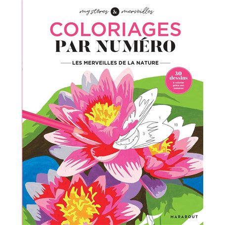 Coloriages mystères - Les merveilles de la nature
