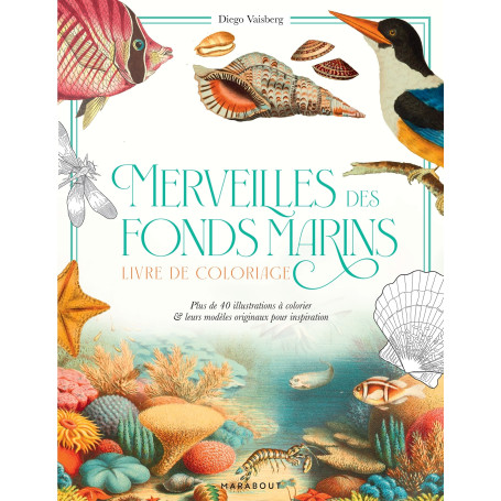 Merveilles des fonds marins