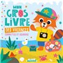 Mon P'tit Hemma - Mon gros livre des vacances (Panda roux plage)