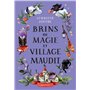 Brins de magie et village maudit
