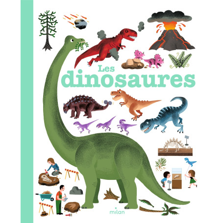 MES ANNÉES POURQUOI - Les Dinosaures - Dès 4 ans 12,62 €