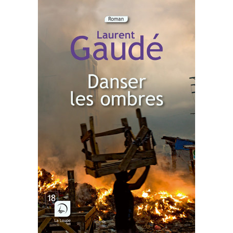 Danser les ombres 20,54 €
