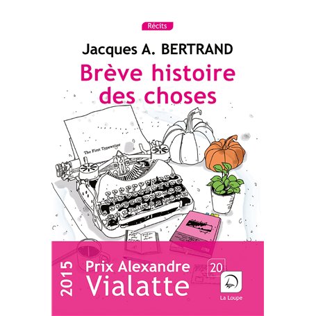 Brève histoire des choses