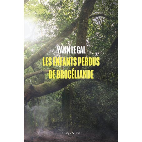Les enfants perdus de Brocéliande