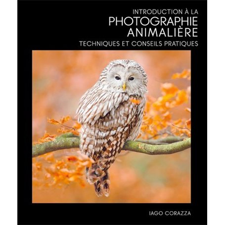 Introduction à la photographie animalière - Techniques et conseils pratiques