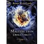 La Malédiction des Dragensblöt - Tome 2 7,73 €