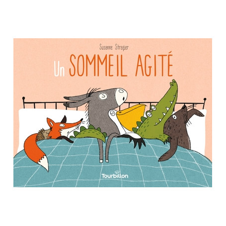 Un sommeil agité 12,23 €